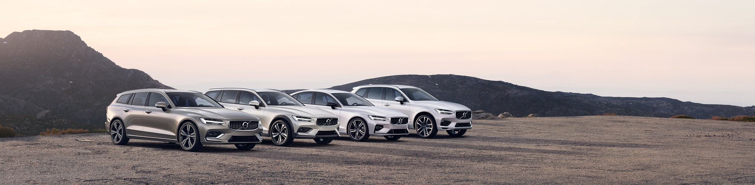 2019 Volvo Model.jpeg