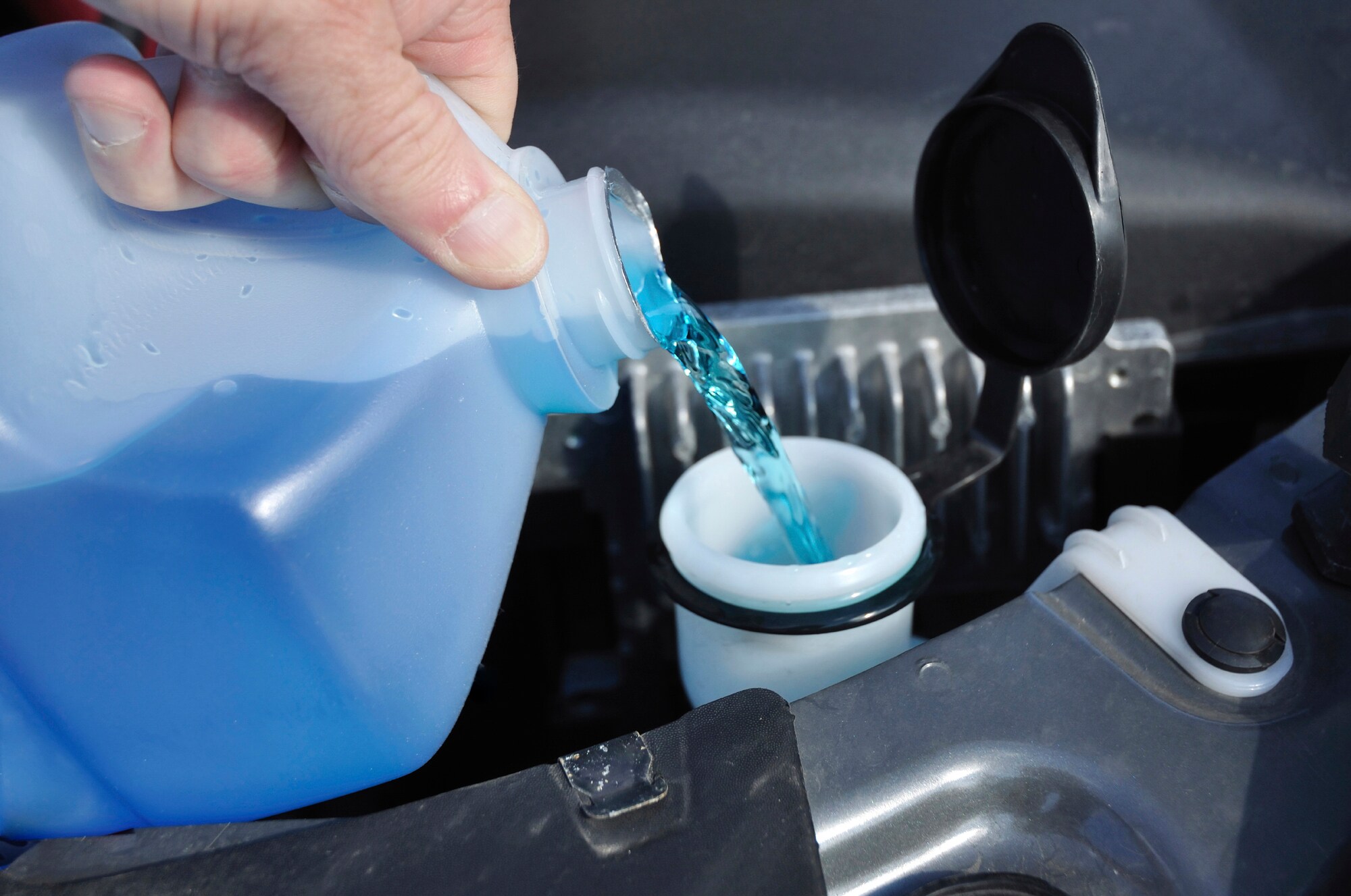 iStock_000014508968Large.jpg