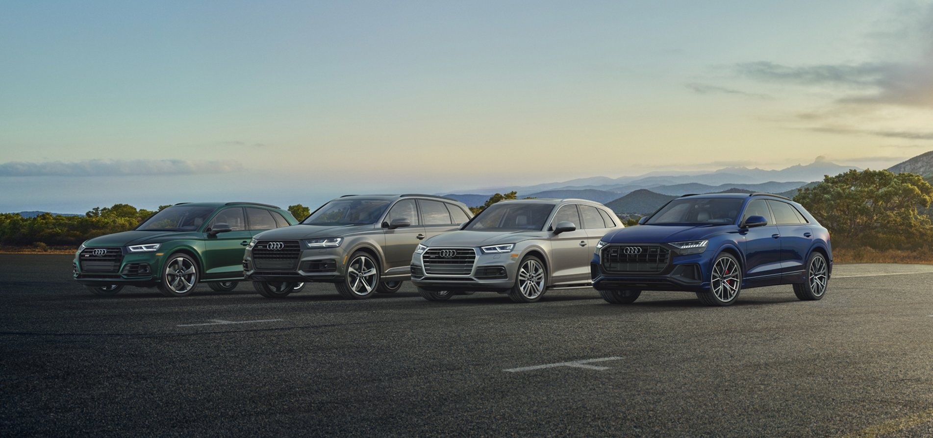 Audi_SUV_family.jpg