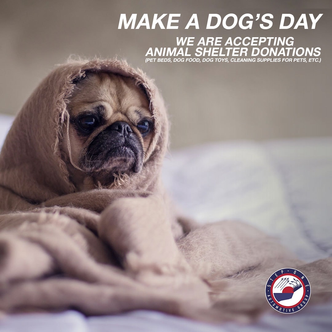 Make a Dog's Day Event