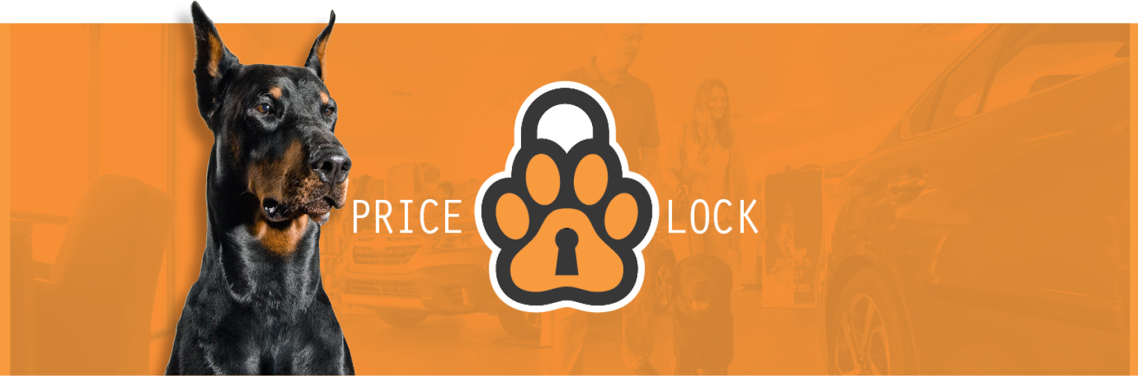 Buyer's Best Friend Combatting Dealer Fees