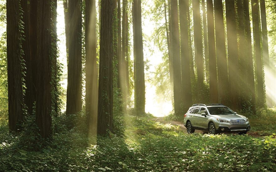 Subaru.jpg
