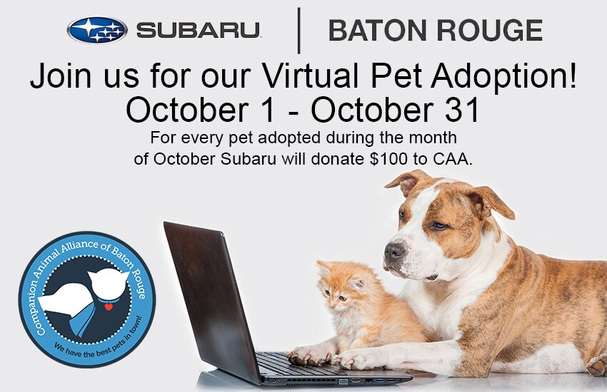 Virtual Adoption Event with CAA