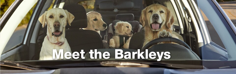 Subaru_Barkley slide.jpg