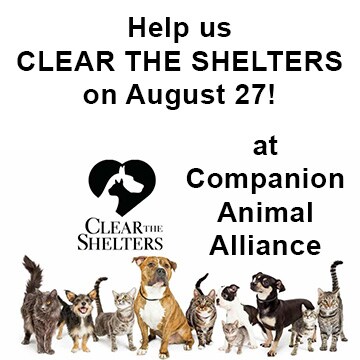 Subaru of Baton Rouge Clear the Shelter Event