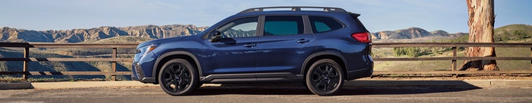 2025 Ascent
