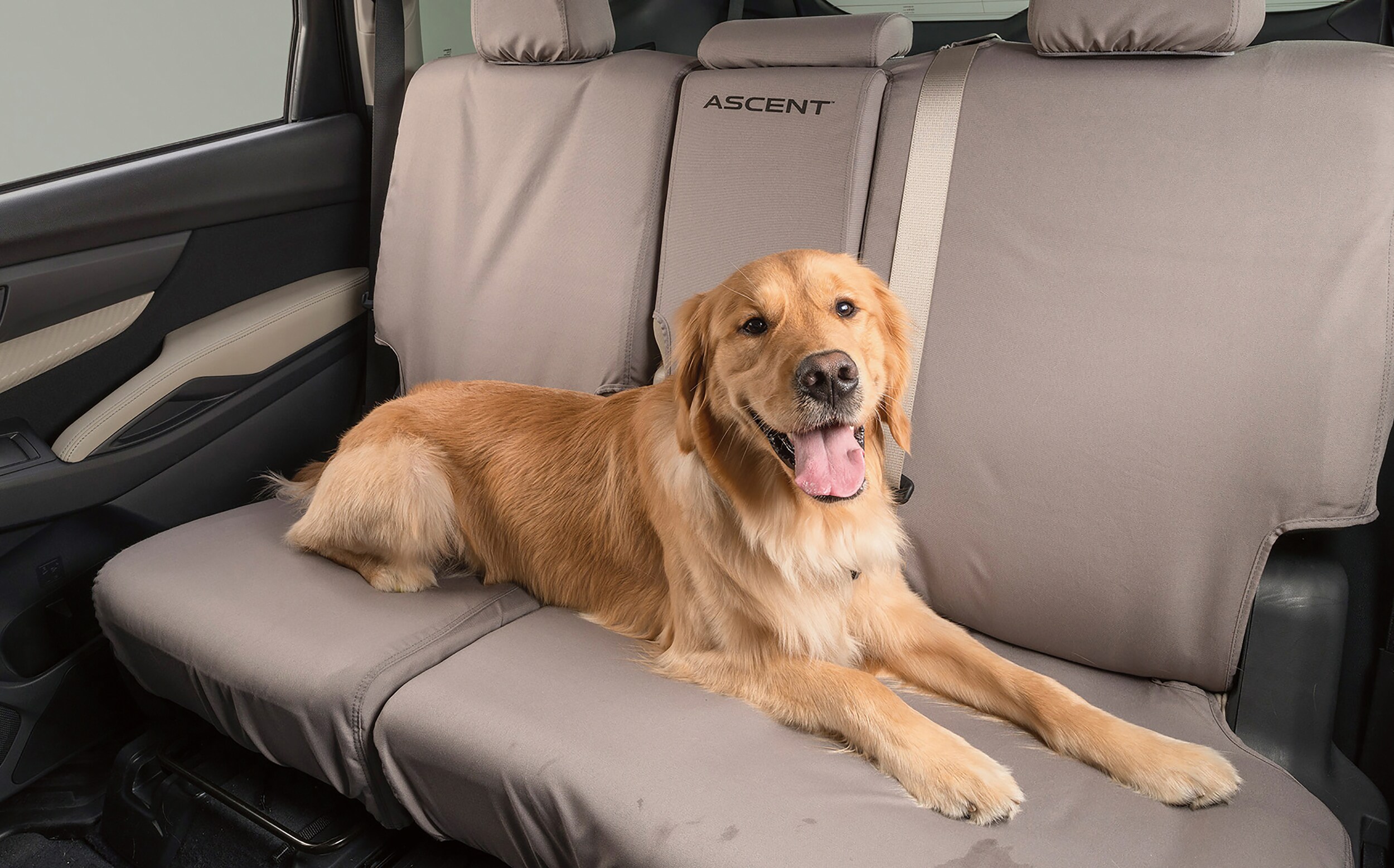New 2024 Subaru Ascent.jpg
