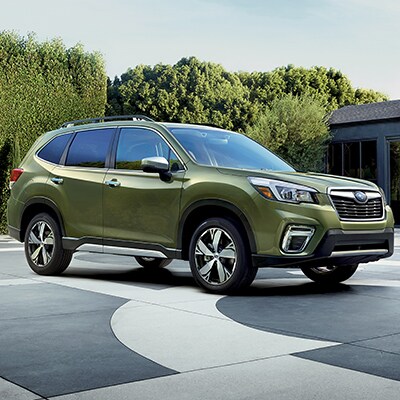 Forester Image.jpg