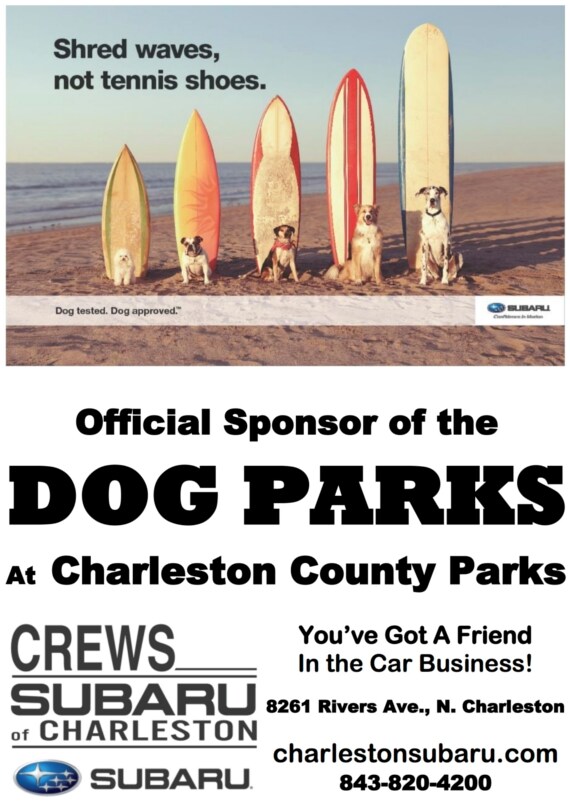 dogpark.jpg