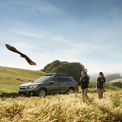 Outback Photo2.jpg