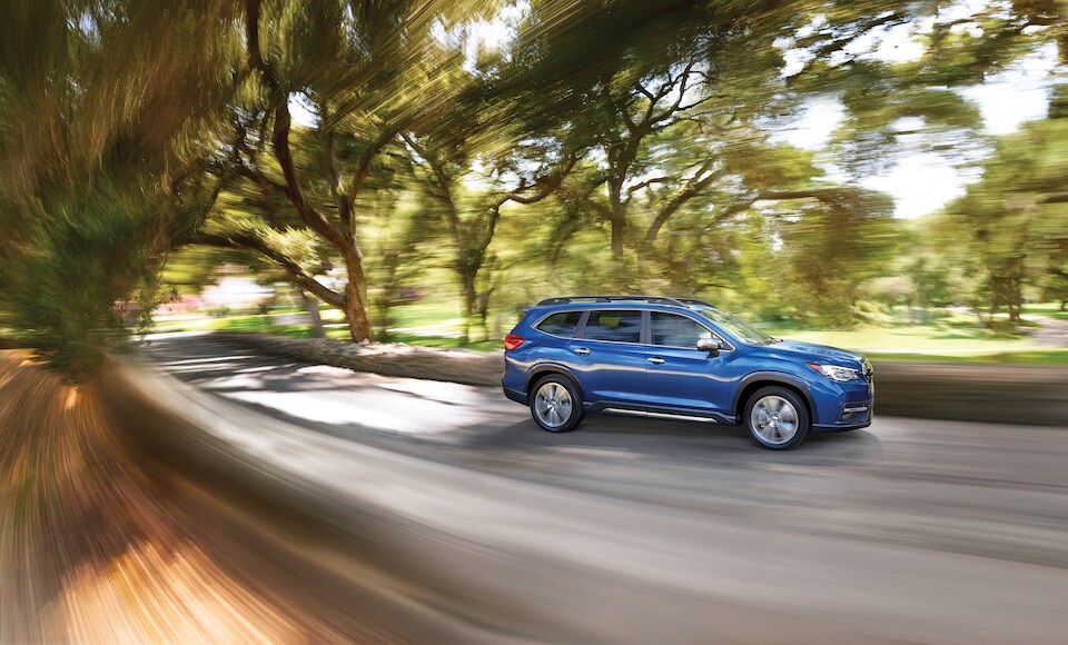 2019 Subaru Ascent Exterior Leaves.jpeg