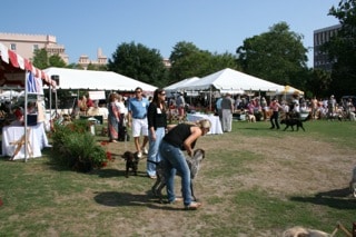 IMG_2644.jpg