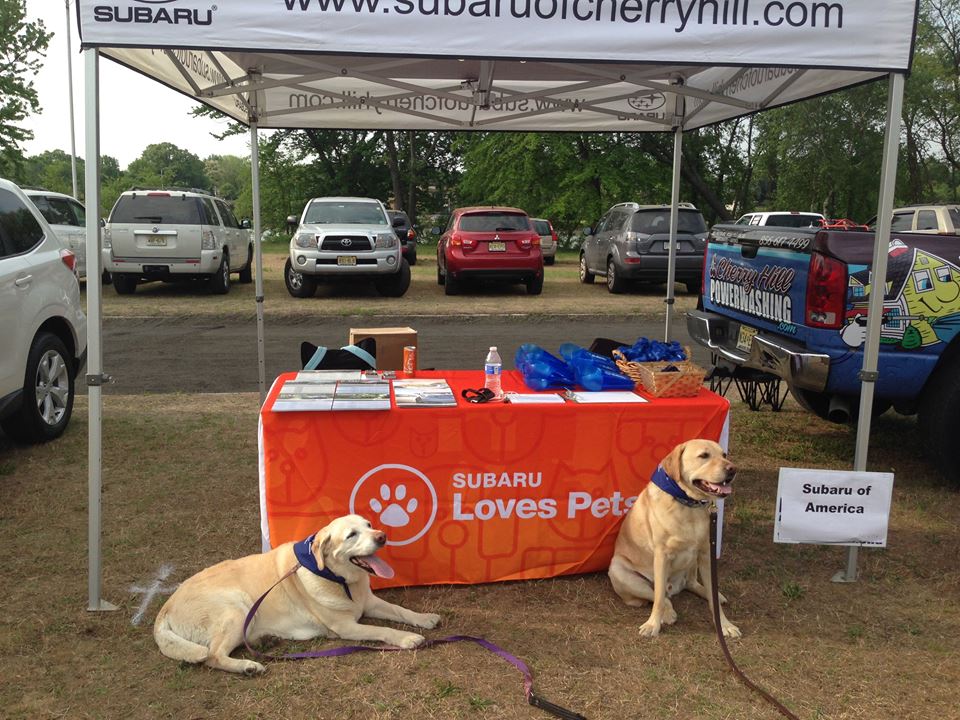 Paws & Feet 5k