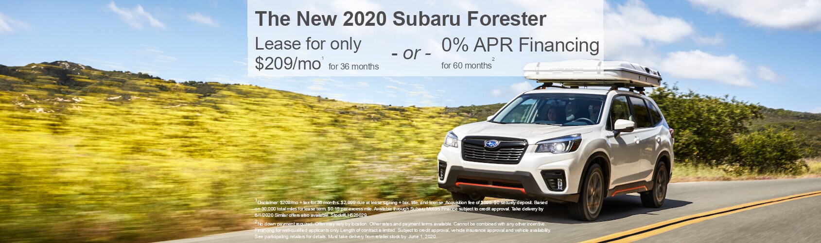 Forester.png