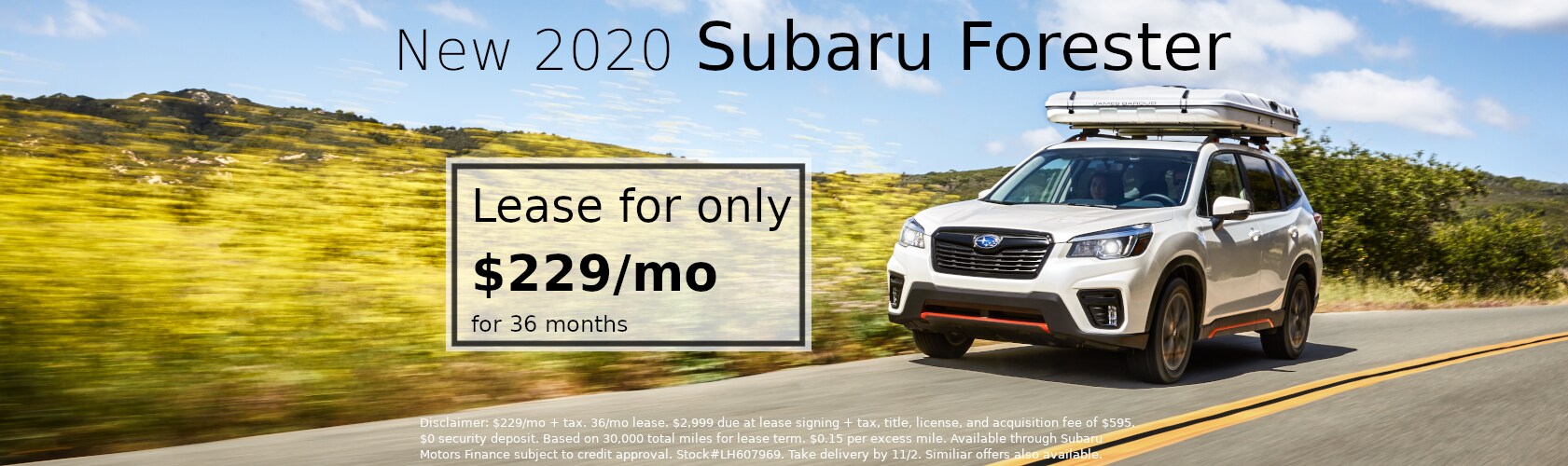 20 Forester.png