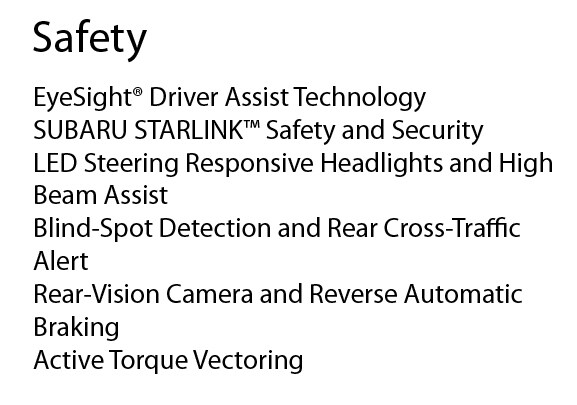 safetydescritpino.jpg