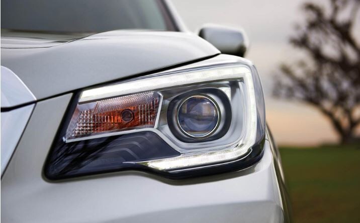 headlights.JPG
