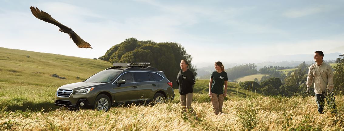 2019outback.jpg