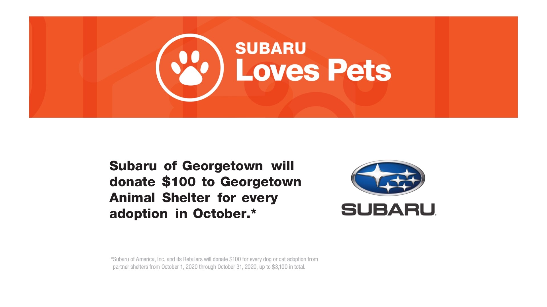 Georgetown Animal Shelter Oct 2020