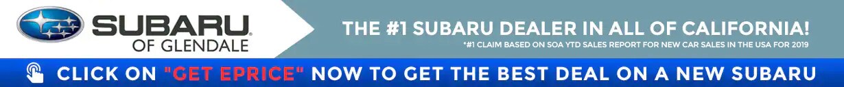 banner.jpg