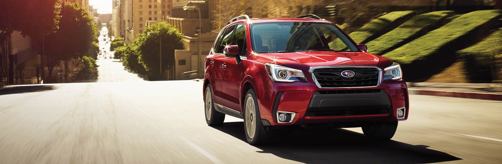 2019-subaru-forester-for-sale-los-angeles.jpg