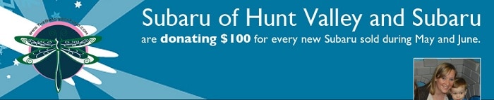 Erika Brannock Hero banner.jpg