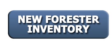 new forester inventory.jpg