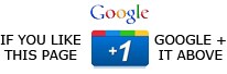 Google Plus This Page
