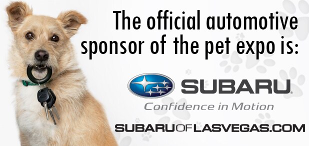 subaru_vegas.jpg
