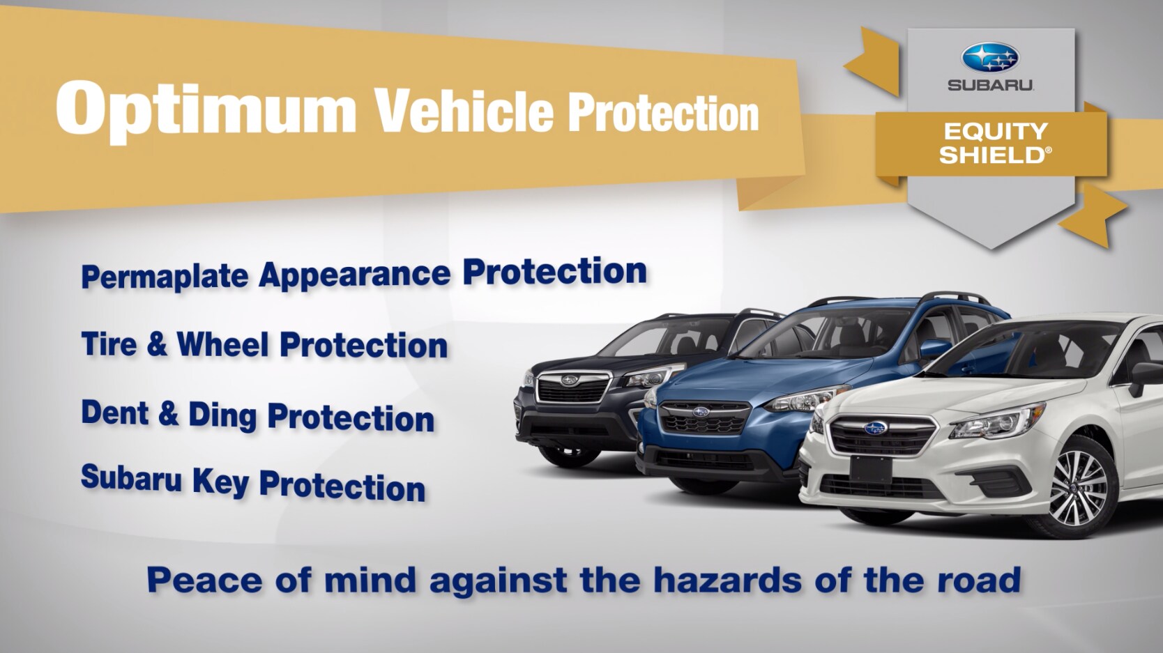 Equity Shield (002).png