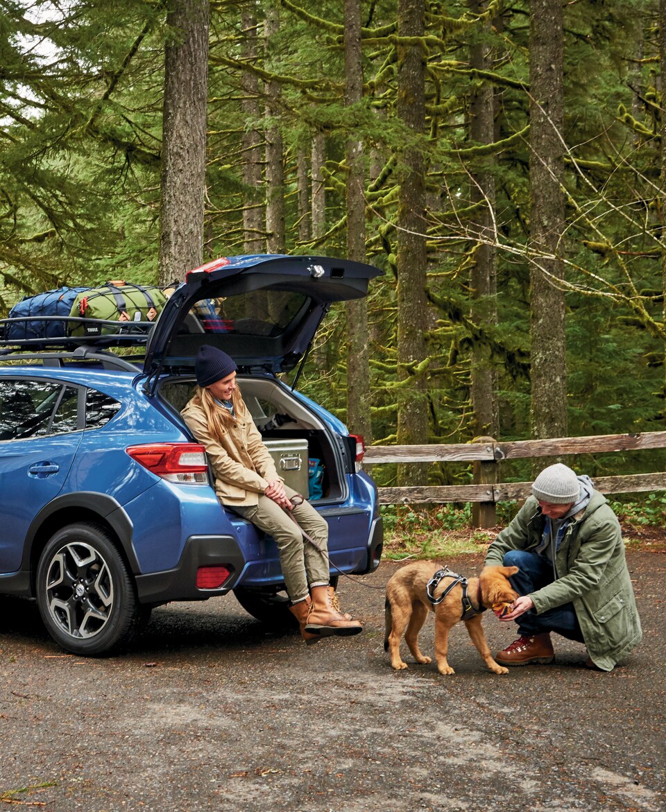Subaru-Lifestyle-CO.jpeg
