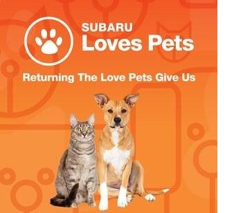 pet love 2.jpg