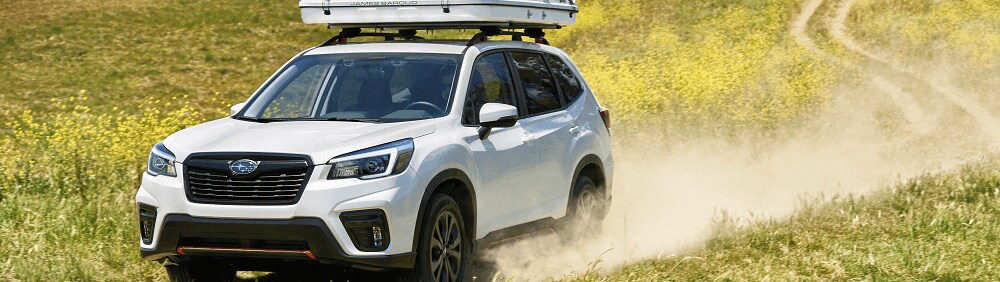Subaru Forester Daphne AL