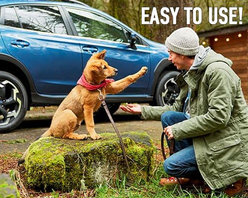 Buying Online is easy with Love Your Deal at Subaru of Morgantown Buying Online is easy with Love Your Deal at Subaru of Morgantown