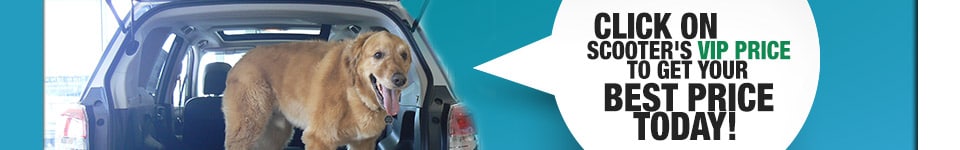 Get Scooters VIP Price!