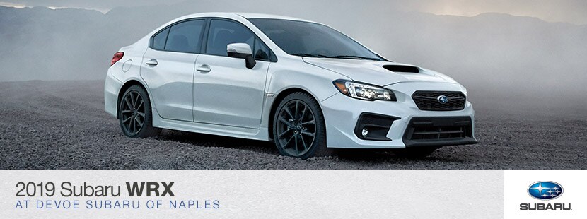 DevoeSubaru-830x310-2019-WRX.jpg 2019 Subaru WRX