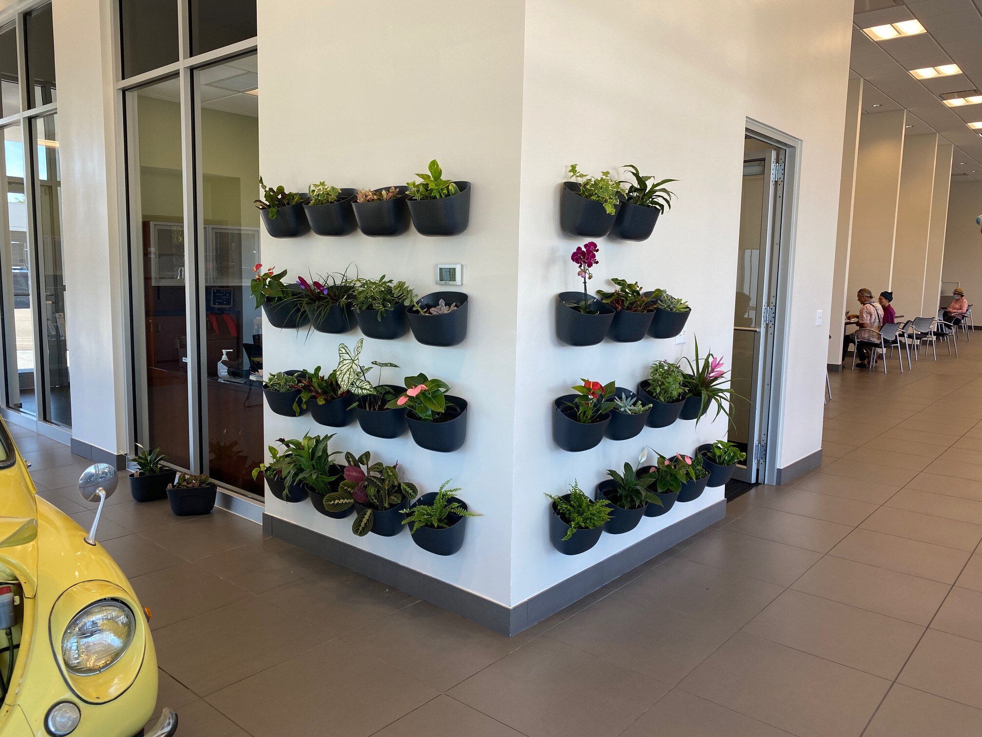 Living Wall.jpg