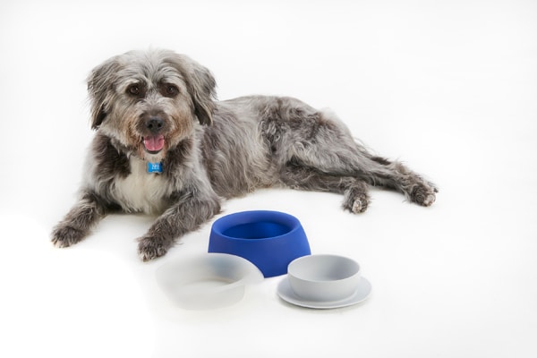 PetTravelBowl.jpg