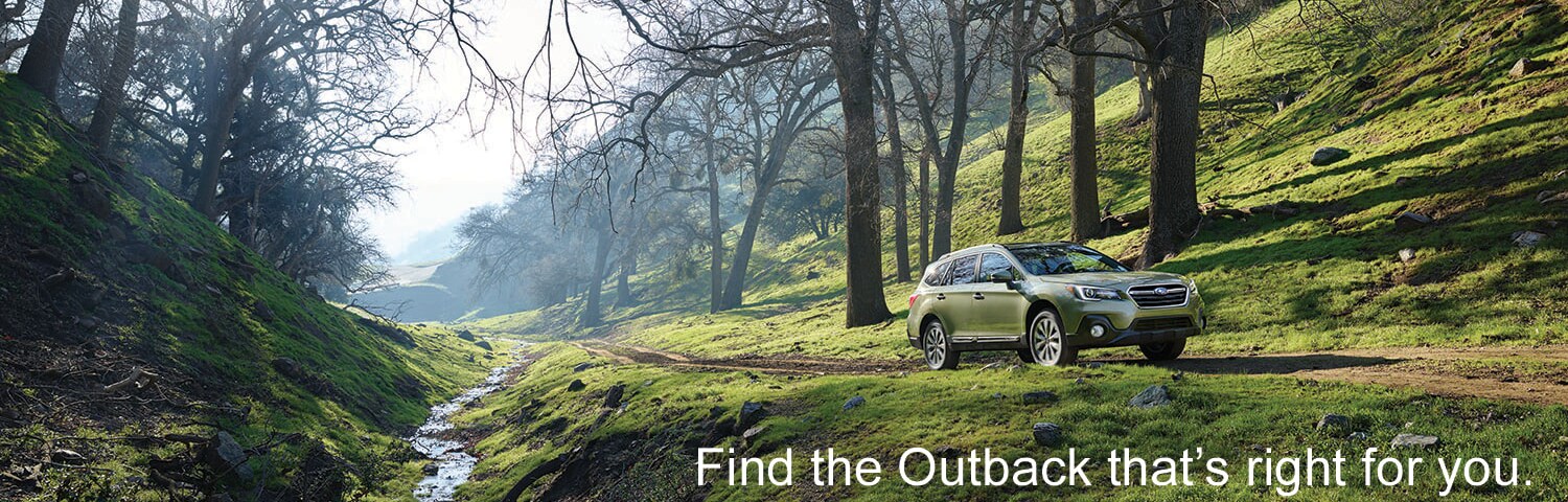 Outback Header.png