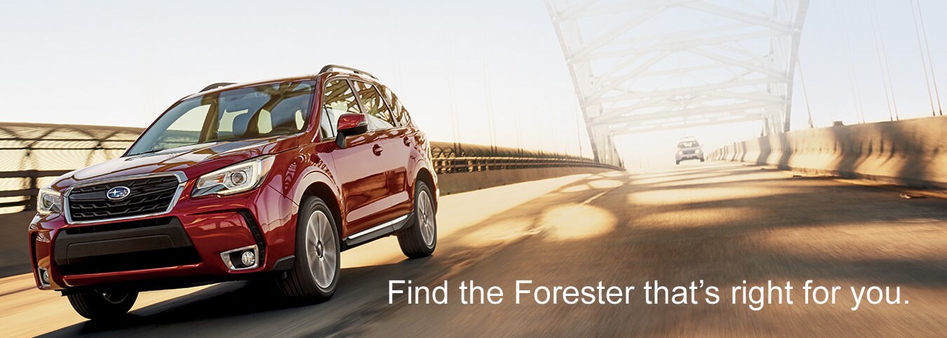 Forester Header.png