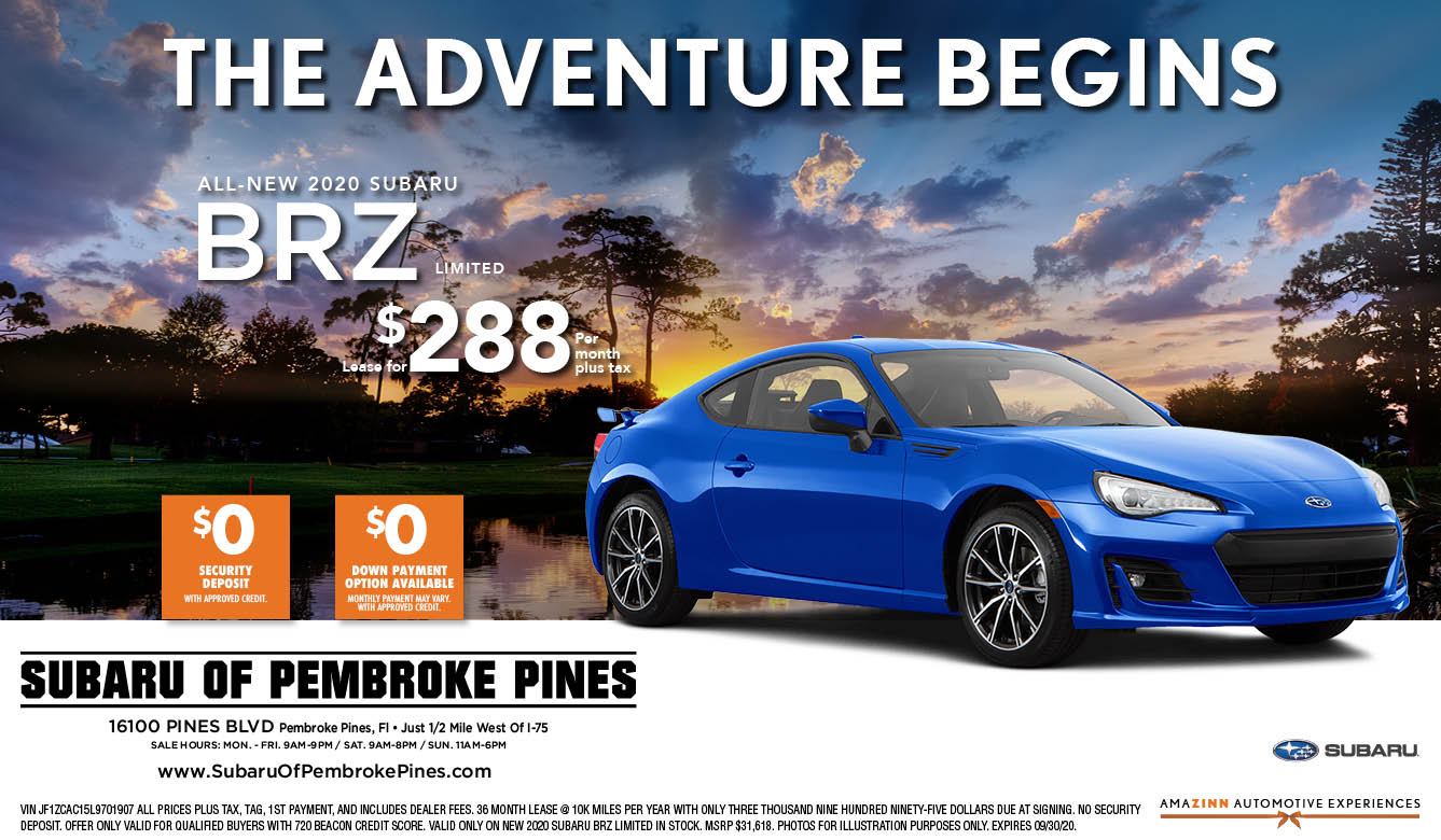 PPSU_W_22817_BRZ.jpg
