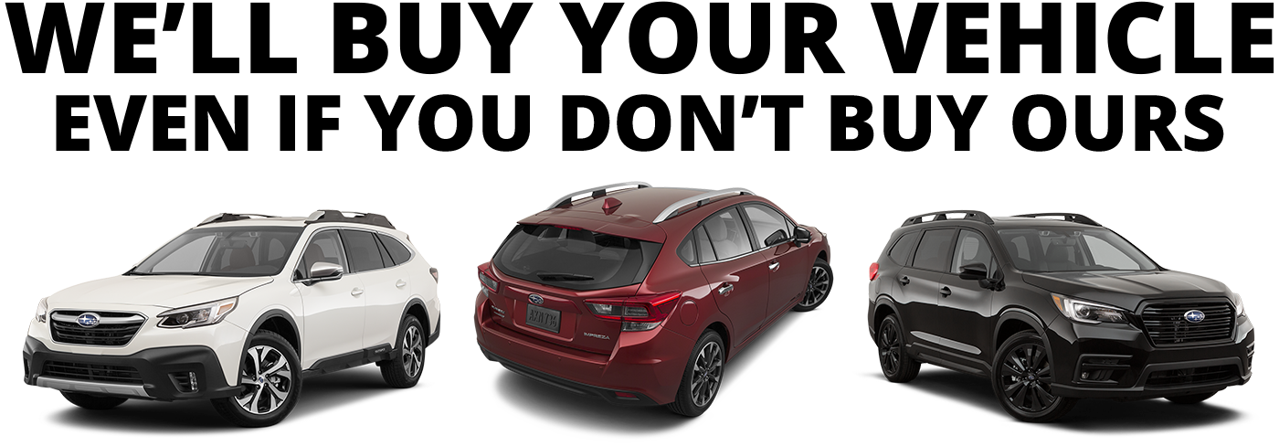 Buy Back Program