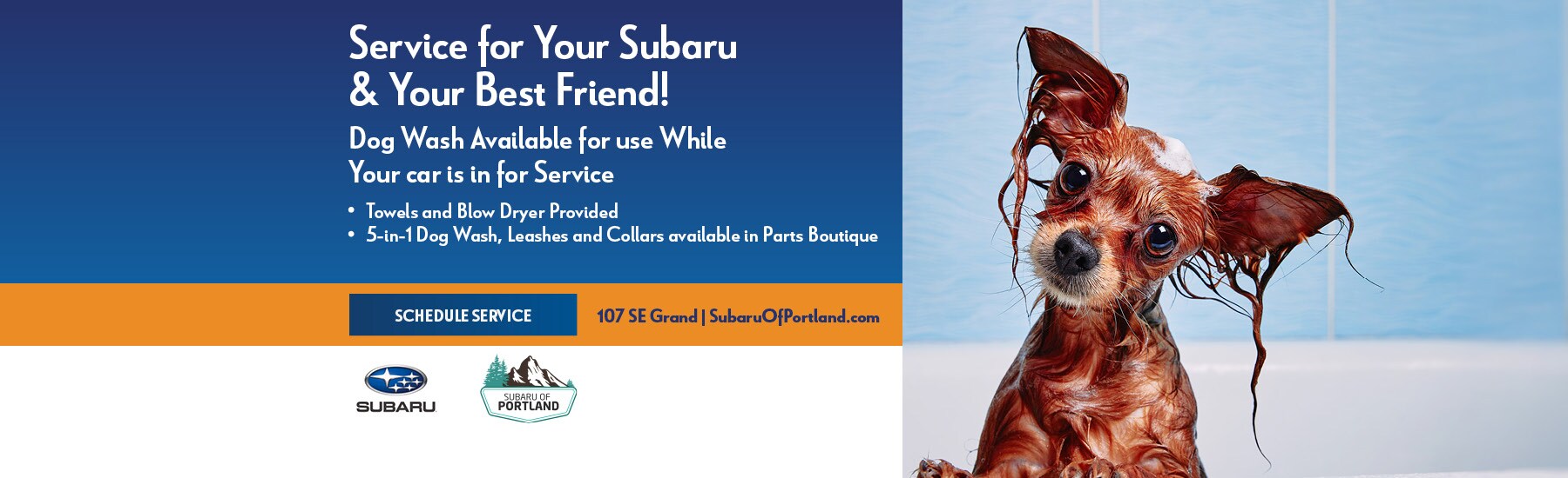 2021-03-subaruofportlandsoa-10088367-Dog-Wash-Subaru-Service-SL.jpg