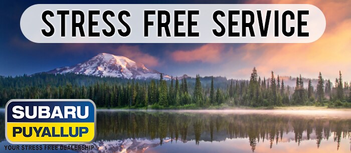 STRESS FREE SERVICE.png