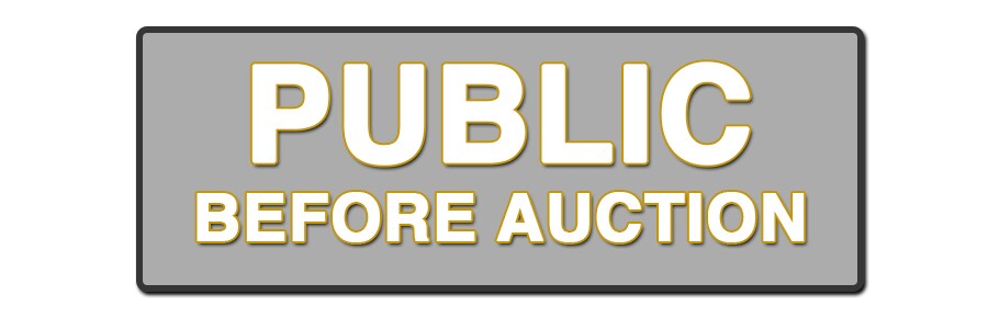 Public Before Auction Button.jpg