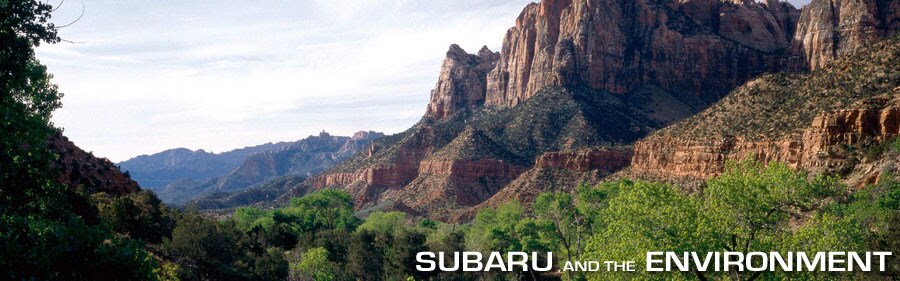 Subaru Environment.jpg
