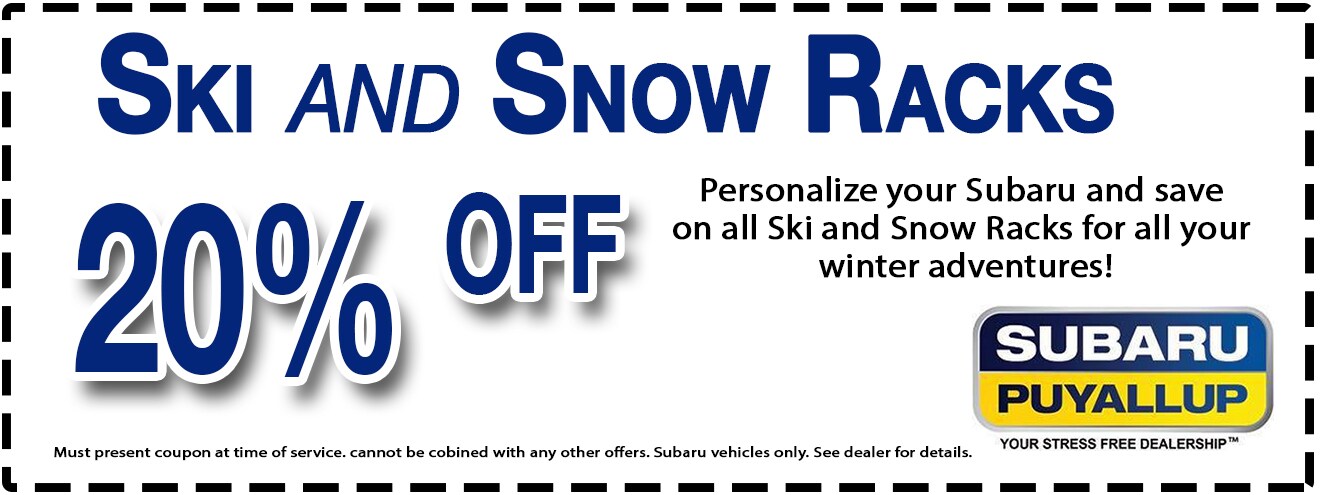 SkiandSnow.jpg