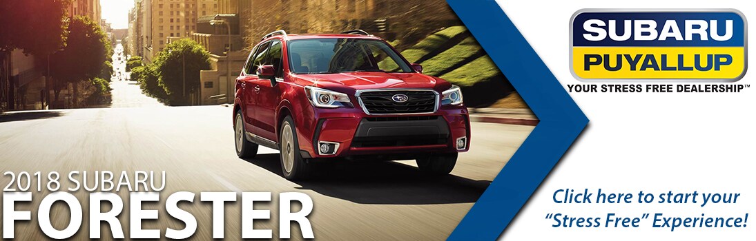 2018 Forester Info.jpg