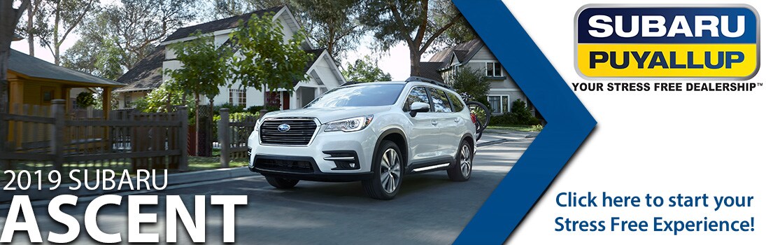 2019 ASCENT Info.jpg