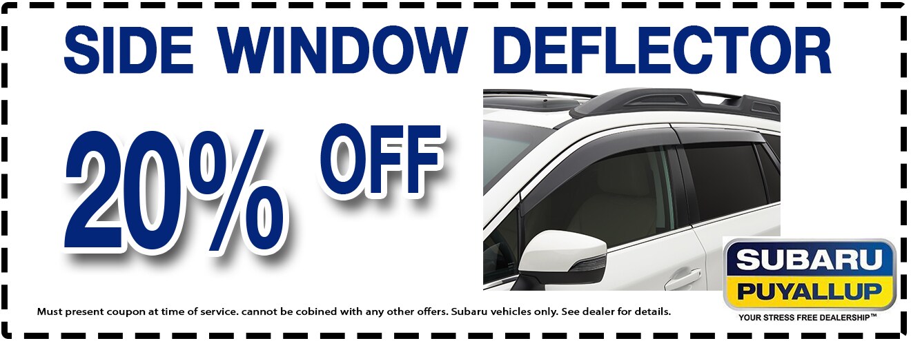 side window deflector large.jpg